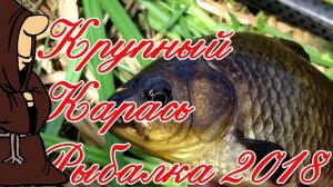 Рыбалка на крупного Карася в Августе с берега на донки