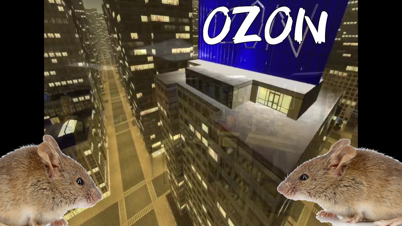 ПВЗ OZON/ОЗОН