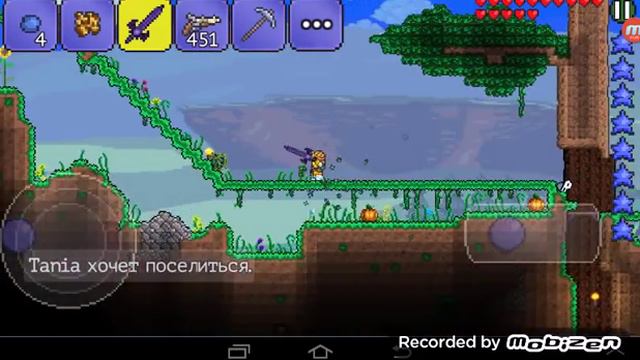 Terraria(android)- что же делает эта начинка?