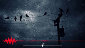 MATRANG  Молодость