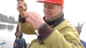 Рыбалка в КОРОНАВИРУС. МАКРО СЪЕМКА. Ловиться больная рыба. ПЛАТФОРМА ДЛЯ ЛОВЛИ НА ФИДЕР. ОТКРЫТИЕ.