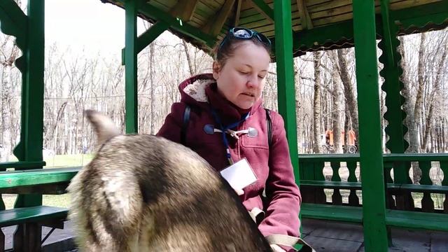 О необходимости стерилизации домашних животных