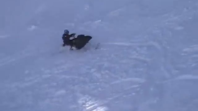 Hawkfest 2010 Logan Ut смотреть онлайн