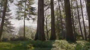 Индивидуальный уход за бельем. Все с вашего смартфона