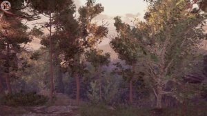 КОТЫ ВОИТЕЛИ - 3. Лес Секретов #25-26.