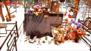 Игорь Сорин / Могилка Игоря Сорина 18 января 2015