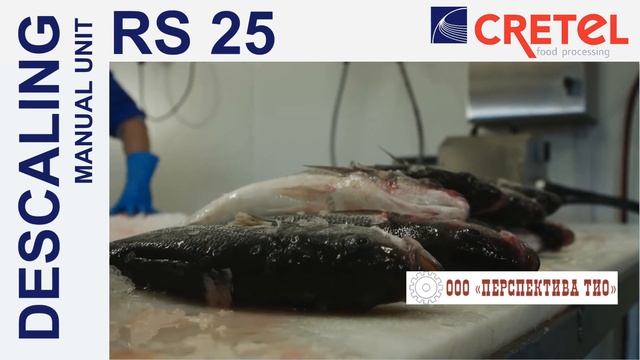 CRETEL RS 25 - удаление чешуи. смотреть онлайн