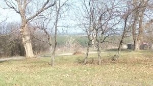 город Чугуев Харьковской смотрите вид на Башкировку