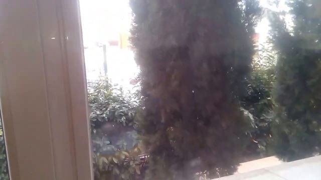 Энергосберегающая пленка на окна 