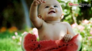 Чем Полезен Арбуз и как правильно его выбрать