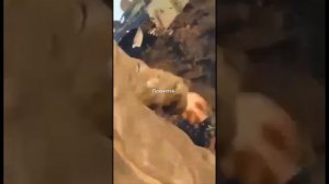 Подрыв БМП-1 ВС РФ на противотанковой мине, все живы.