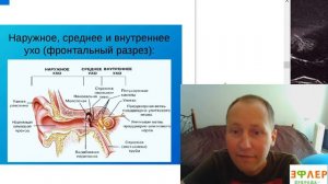 Потеря слуха. Аутоиммунный тиреоидит. Осина против червей.  Коварная рыба. Программа исцеления.