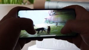 Stray Mobile Gameplay - How to Play Stray on Android/iOS