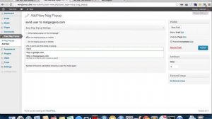 Easy Nag Popup plugin for WordPress Demonstration