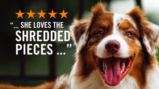 Purina ProPlan Savor смотреть онлайн