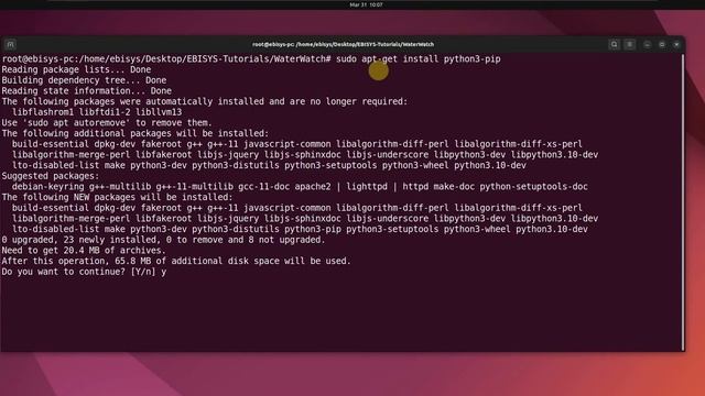 How to Create a Virtual Environment in Python Ubuntu (THE BEST WAY)