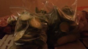 "Сморозила что то не то?!"  Морозильный ларь DEXP 260.  Начало