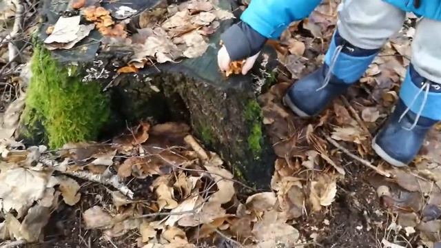 Płomienice смотреть онлайн