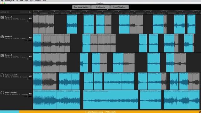RED GIANT | PluralEyes 4 смотреть онлайн