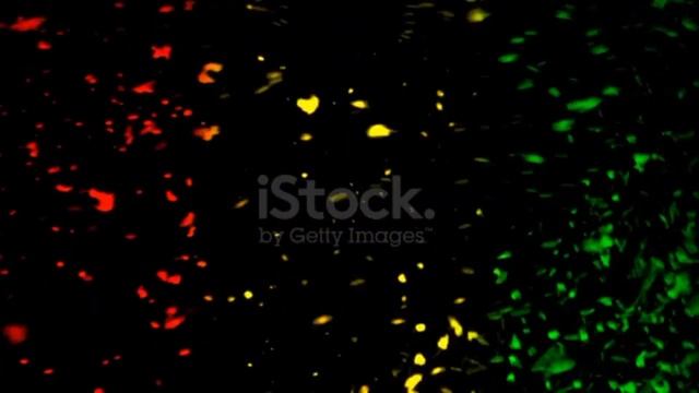 cover reggae 2023 pantun janda смотреть онлайн