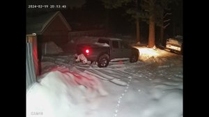 Совместное пользование дачей. Перед моим приездом разбегаются всякие