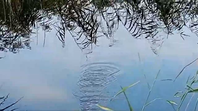 Лайфхаки на рыбалке! смотреть онлайн