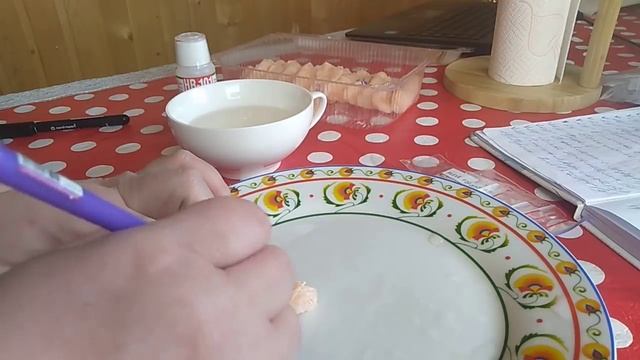 Старт на проращивание томатов запущен!!! // Секреты хороших урожаев. смотреть онлайн