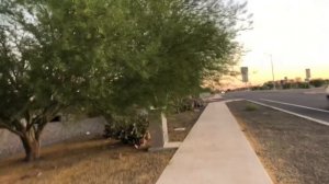 #45 г.Меса(Финикс) Штат Аризона