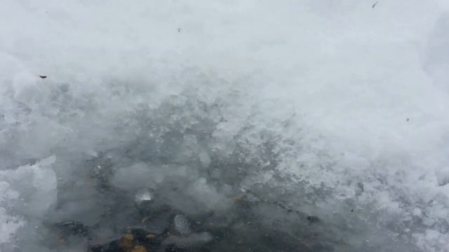 Зимняя рыбалка на Кольчугинском водохранилище смотреть онлайн