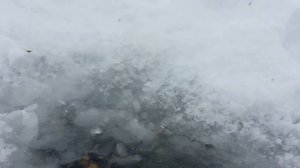 Зимняя рыбалка на Кольчугинском водохранилище