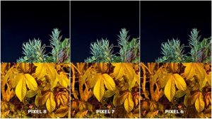 Google Pixel 8 VS Google Pixel 7 VS Google Pixel 6 | Night Mode Camera Test