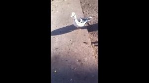 Марсианин смотреть HD