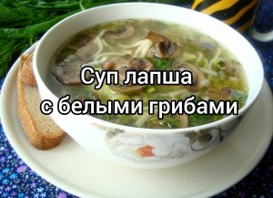 Суп лапша с белыми грибами ?