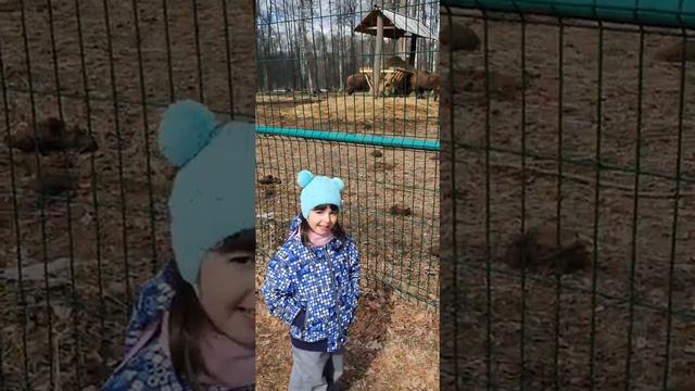 зубры под серпуховым смотреть онлайн