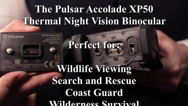 Pulsar XP50 Accolade смотреть онлайн
