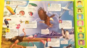 О живой природе (миллион почему) Азбукварик