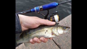 #154 Мормышинг | Clear Blue Crystar 56 Finder | Судак на безмотылку |