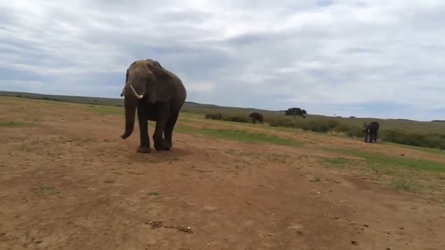 12 Cosas increíbles que te volarán la cabeza смотреть онлайн