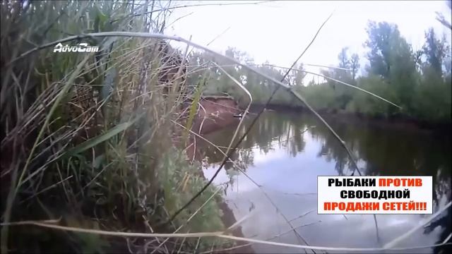 БРАКОНЬЕРЫ. 2018
