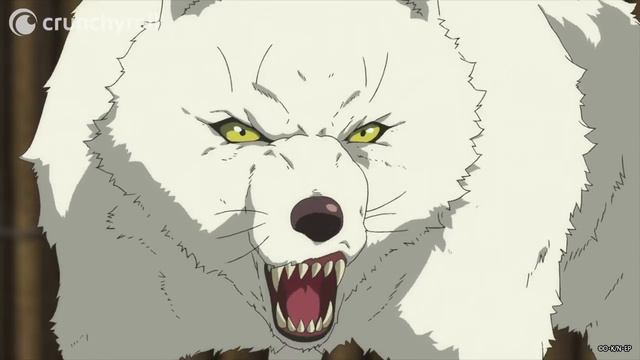 Wolf vs Bear | To Your Eternity