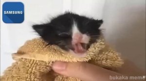 звуки телефона и всё пока