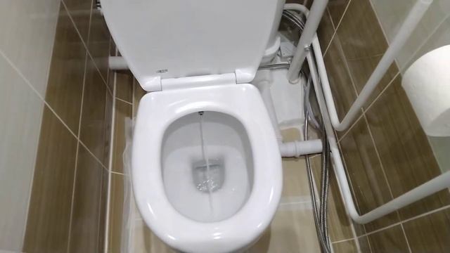 Термостат Wasserkraft для биде смотреть онлайн