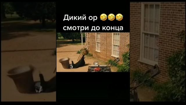 Прикол из фильма