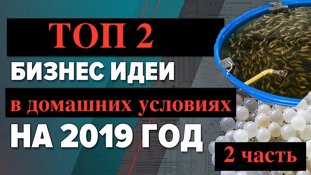 Топ 2 бизнес идеи в домашних условиях на 2022 год. Бизнес с нуля. Бизнес идеи по новому. Топ идей