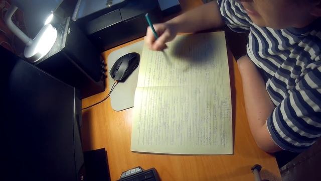 ЗАРАБОТОК НА ПОРОСЯТАХ! Выгодно содержать свиноматку.