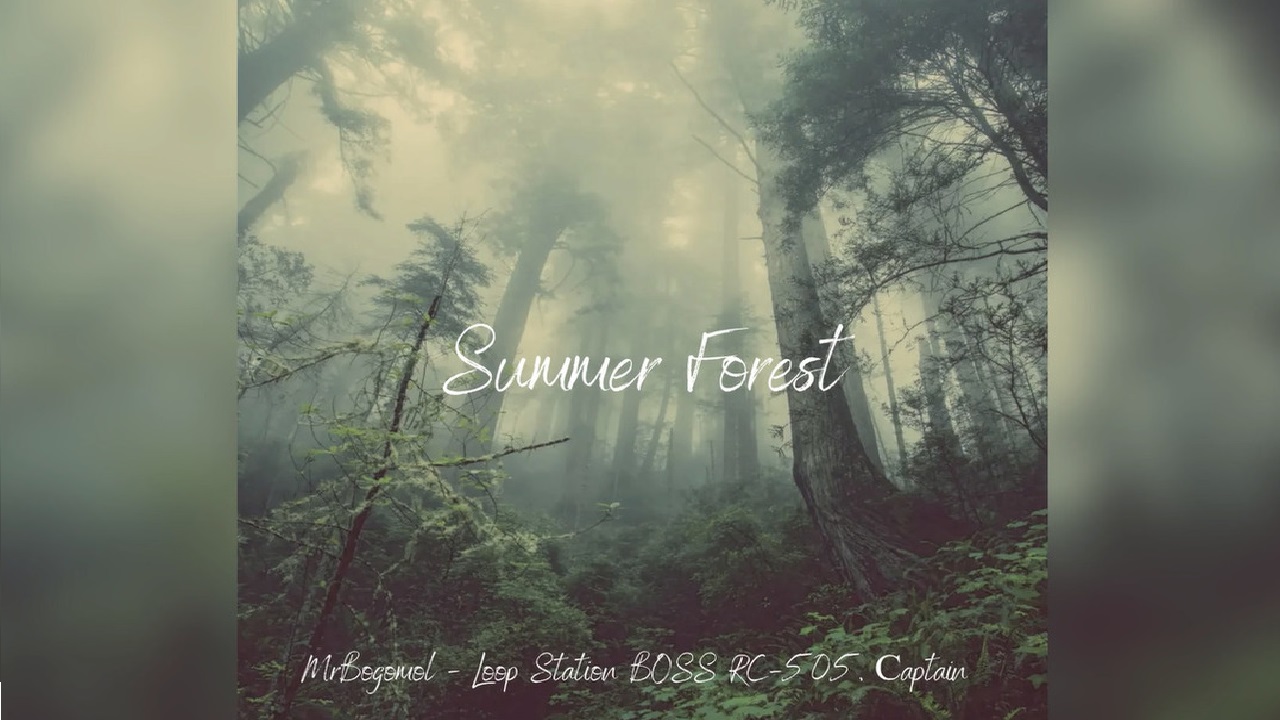 MrBogomol - Loop Station BOSS RC-505, Captain — Summer Forest (Премьера трека, 2023) смотреть онлайн