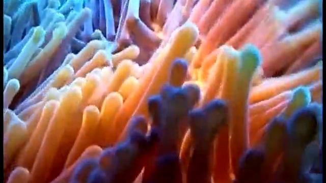 Вечные слова