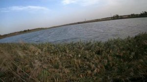 ОХОТА НА УТКУ - ГОЛУБЯ (ВСЁ ПО МАКСИМУМУ).mp4