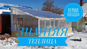 Дела тепличные - Посадка цветов к 8 марта.