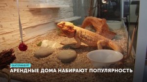 ОТР: Как развивается арендное жилье на Урале?